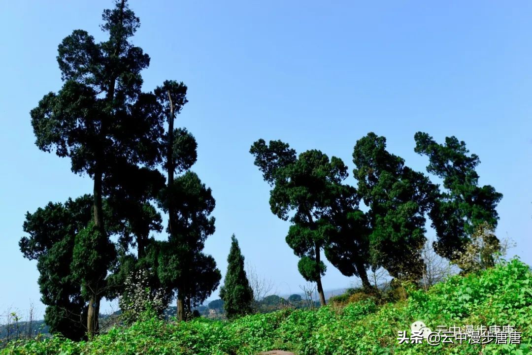 四川岳池黄龙水库,岳池黄龙杨家沟水库