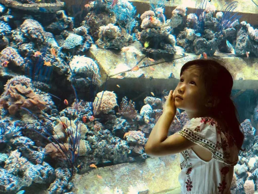 带娃去三亚六个海湾怎么选择住宿,带孩子在三亚度假攻略