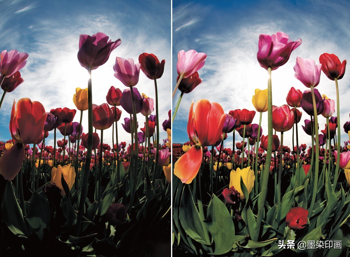 创造性地运用闪光灯，一文教会你用好闪光灯“高速同步”