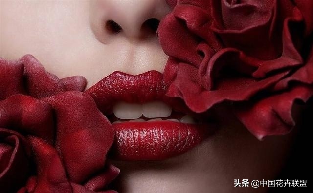 玫瑰花玫红色属于什么品种,最大冠幅玫瑰花是什么品种