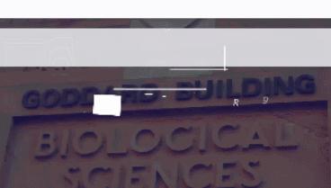 澳洲生活必备好物品有哪些,澳洲日常要随身携带证件吗