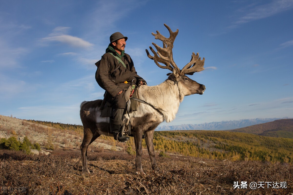 4000年前蒙古人种欧罗巴人种,突厥属于蒙古人种还是欧罗巴人种