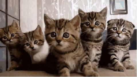 *草烟**微语丨昨夜今晨*草烟**事12.022020