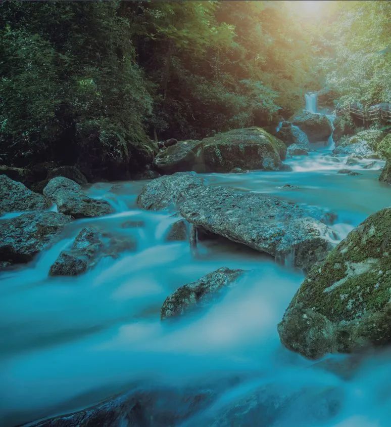 问道青城山赵玉真,问道青城山拜水都江堰
