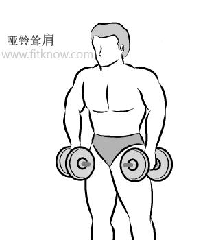 哑铃锻炼胸肌的最佳动作图解,哑铃锻炼手臂图解