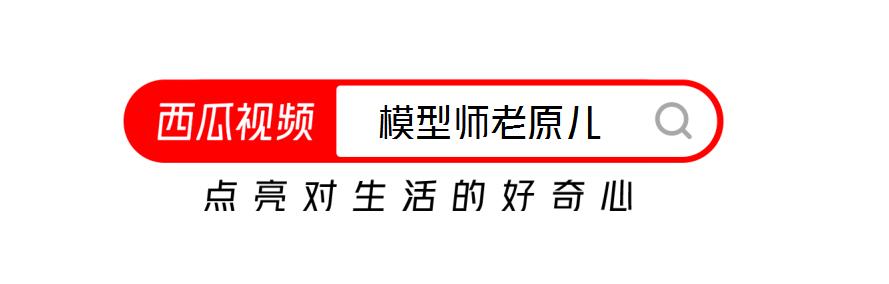 漂亮的蜻蜓其实是凶残的掠食,蜻蜓多凶残