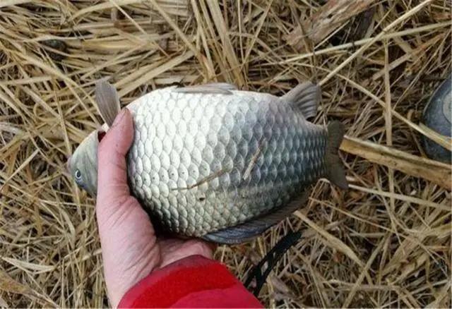 小爆炸钩钓鲫鱼用多大的好,夏季小爆炸钩如何钓鲤鱼