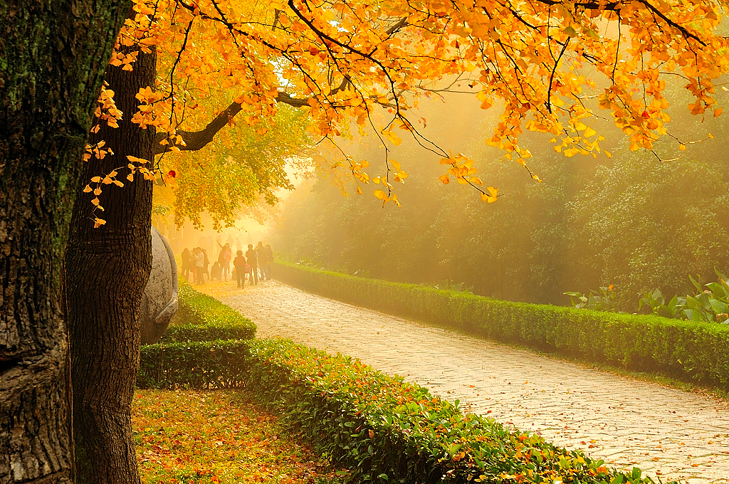 南京旅游夫子庙攻略超详细,南京的著名景点夫子庙在哪条河上