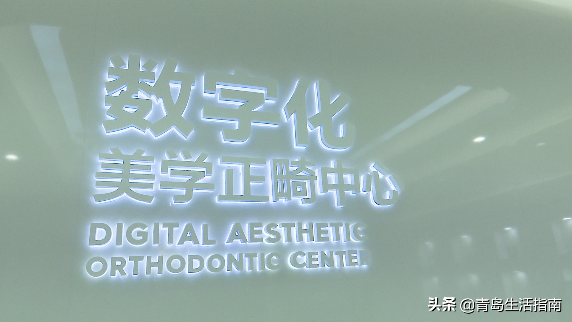 浼樿鍗氬＋鍙ｈ厰绉嶆,浼樿鍗氬＋鍙ｈ厰鐗欓娇绉嶆