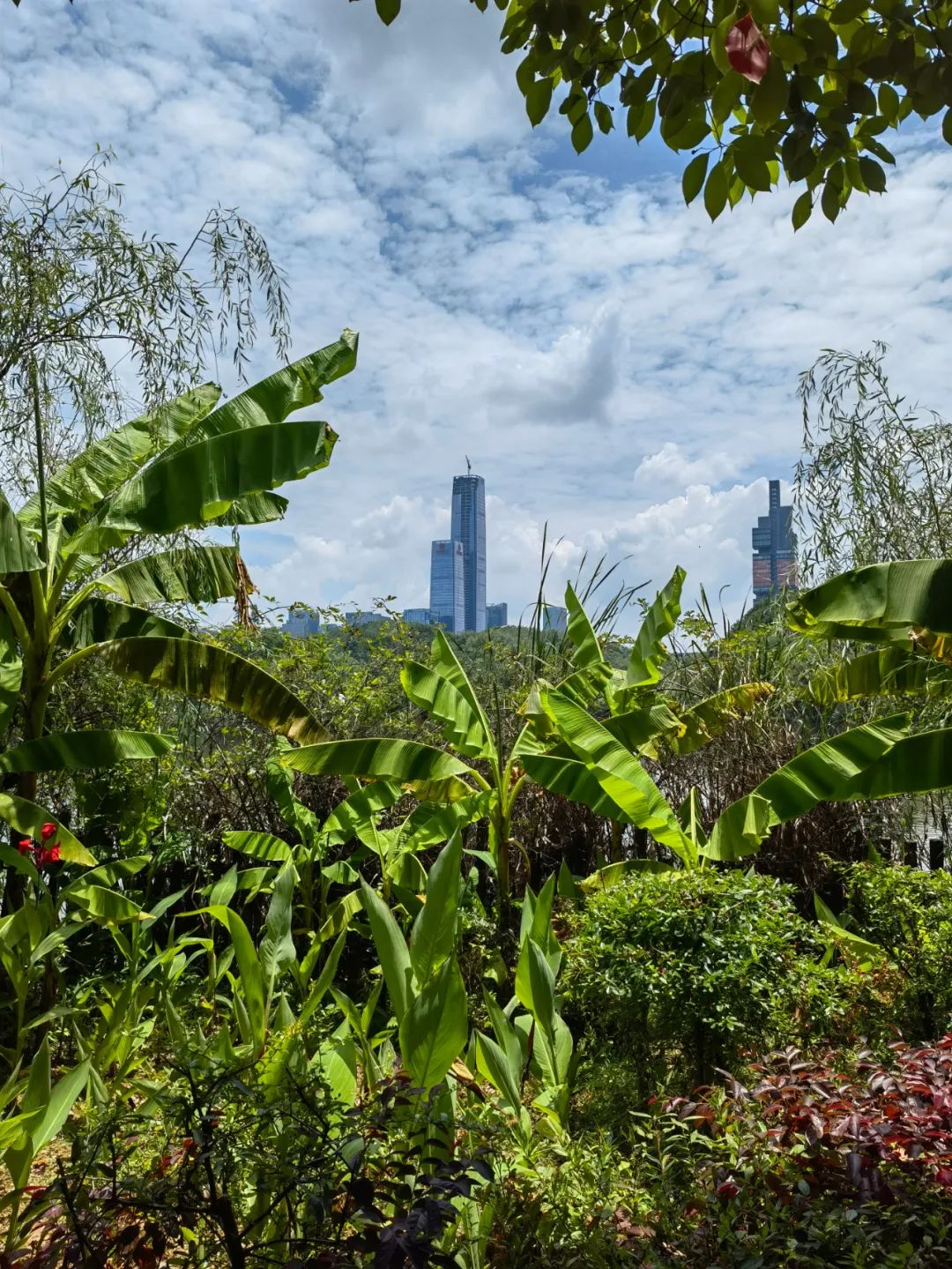 华为p50e上手体验,华为p50手机性能及价格