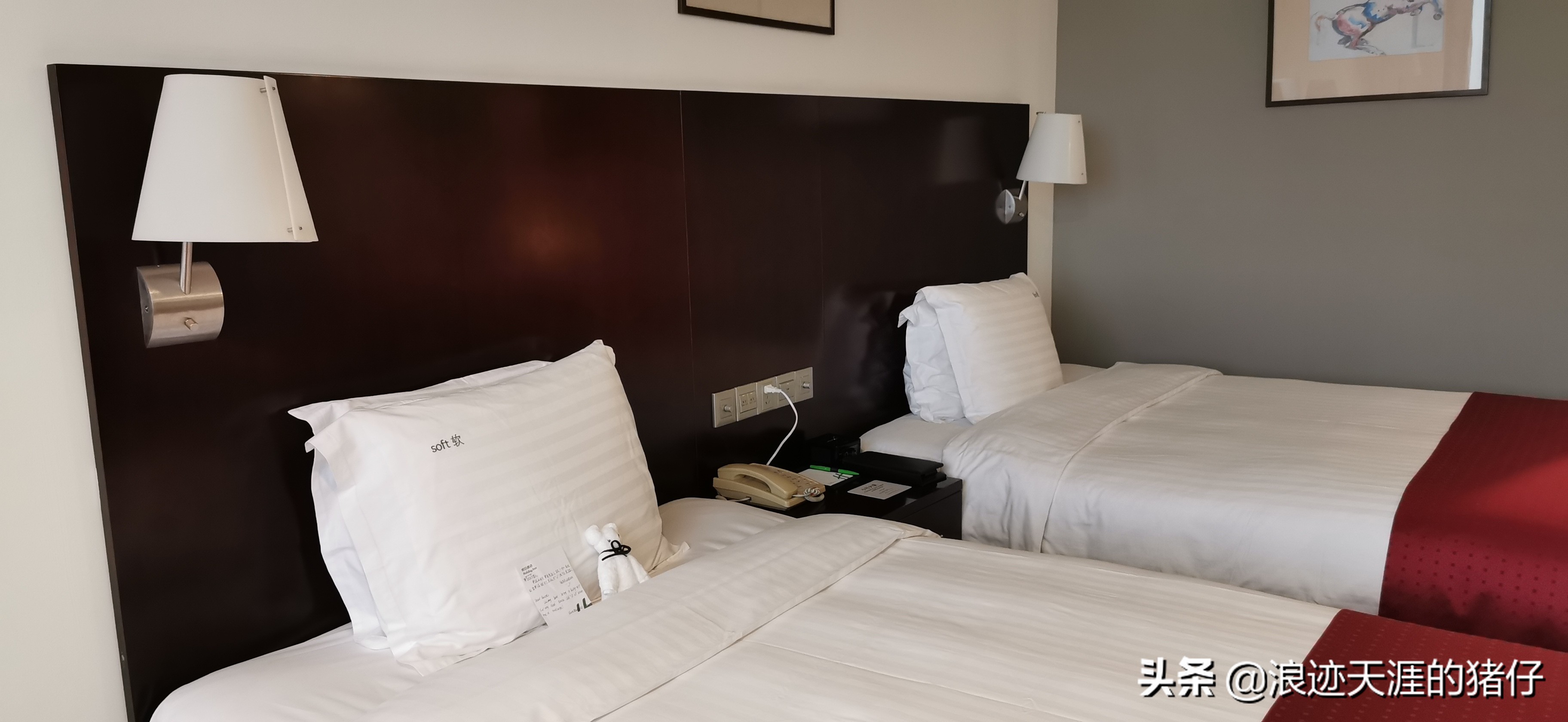 上海最具性价比的五星级酒店,上海四星以上酒店推荐