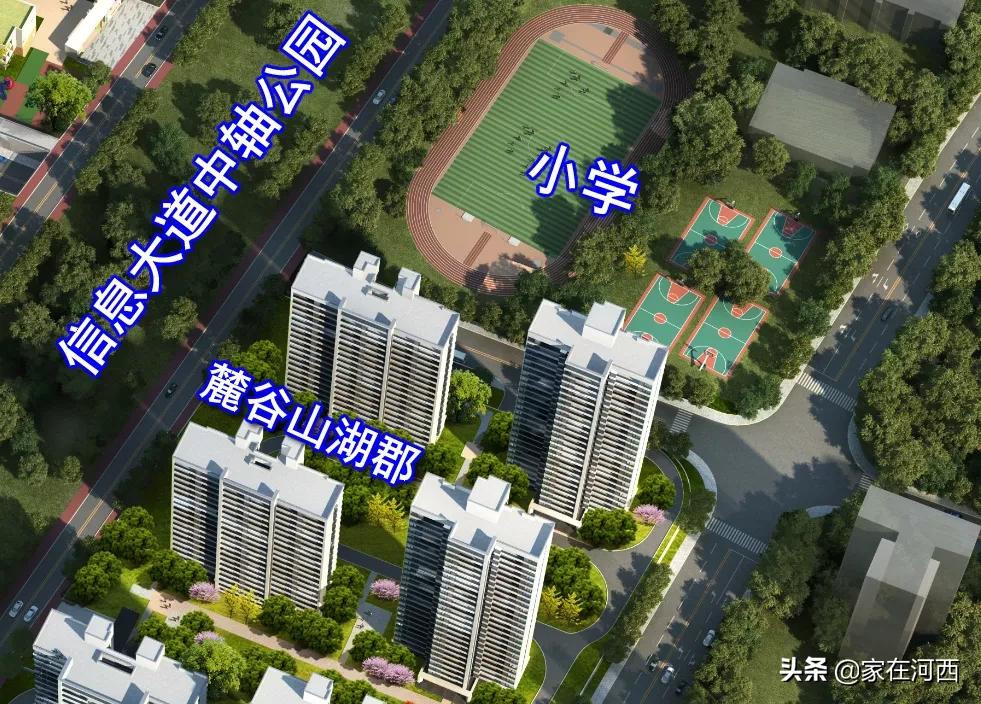 真香！尖山湖中轴国企大盘亮相，有复式，卖毛坯！目测要摇号？