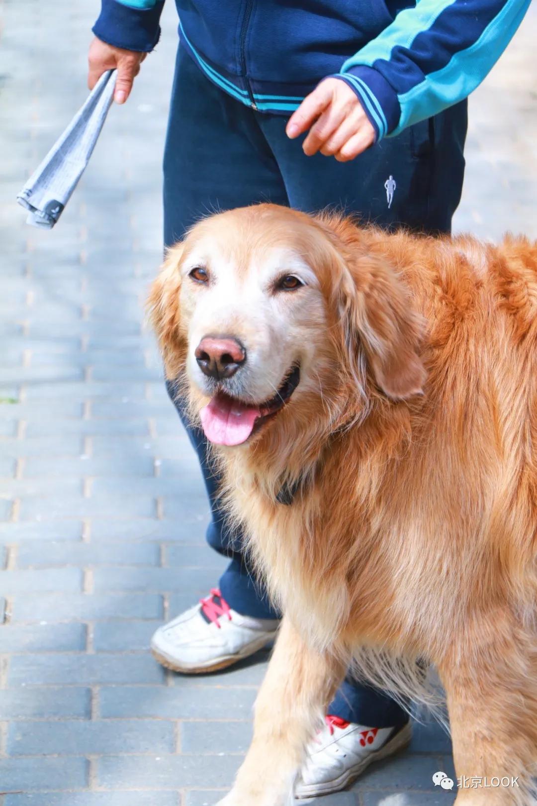北京小区的早晨,北京小区里的傍晚