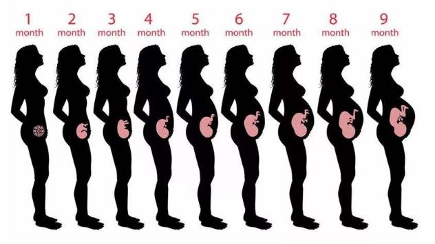 孕期耻骨疼和缺钙有关系么,孕妇耻骨疼是缺钙吗