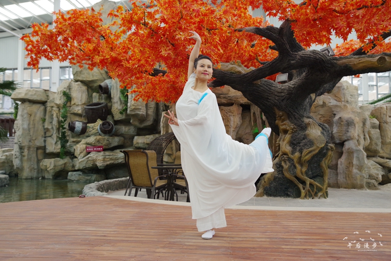 陕菜探秘小程序,陕菜探秘太白县