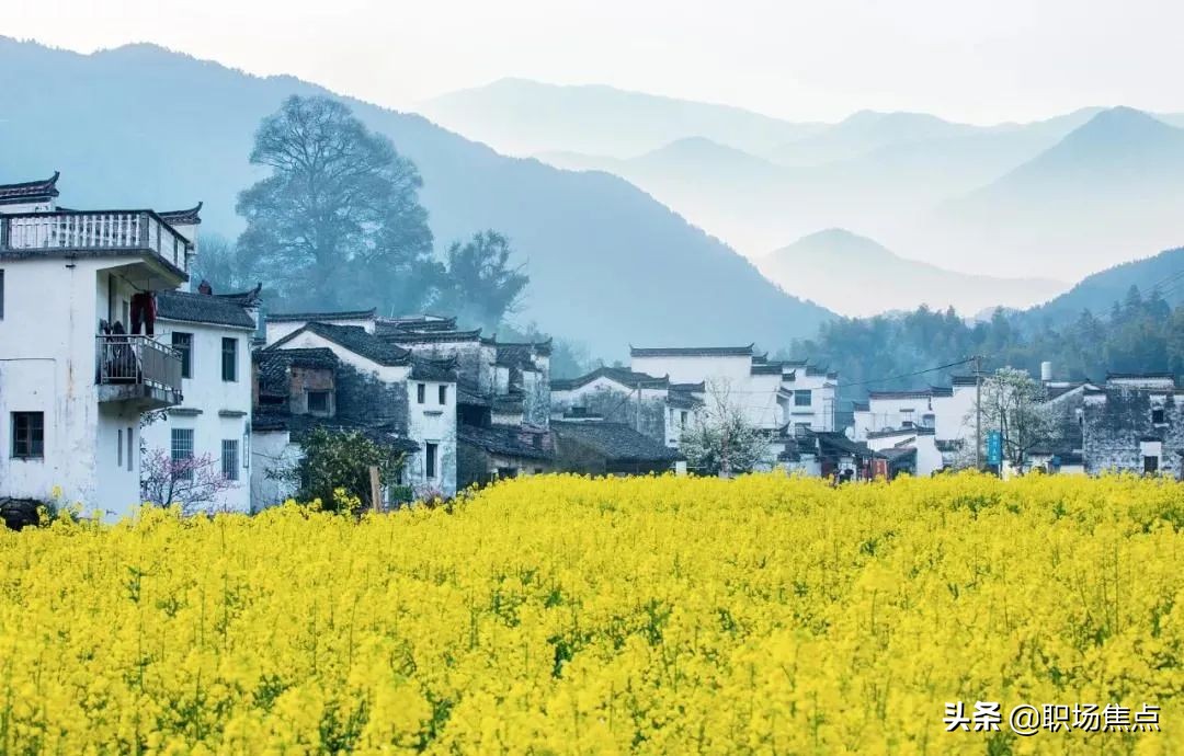 4月起这些新规将影响你的生活,4月1号执行新规超速20%以下罚款吗