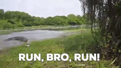 鳄鱼袭人，印尼村民愤怒*杀屠**300头，为什么说鳄鱼比鲨鱼还要凶残