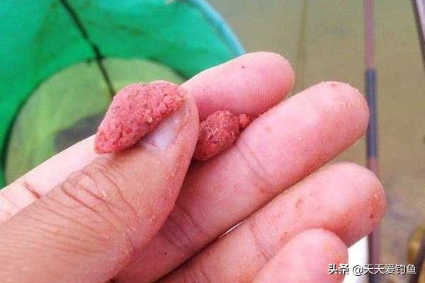 黑坑拉饵调漂的正确方法与技巧,蚯蚓拉饵调漂的正确方法与技巧