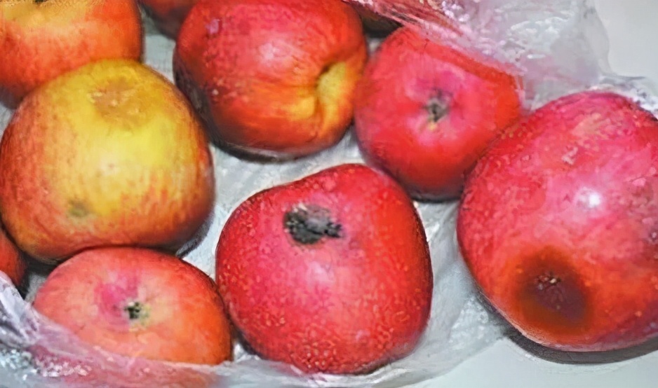 苹果烂了一部分削掉还能吃吗,苹果烂了一小块能再吃吗