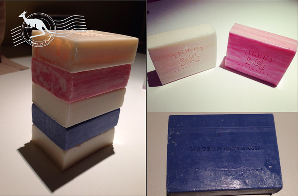 去悉尼旅游消费攻略,悉尼旅游美篇