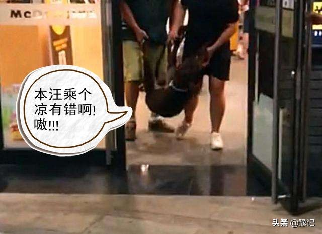 高温预警如何防烫脸,高温预警减少外出