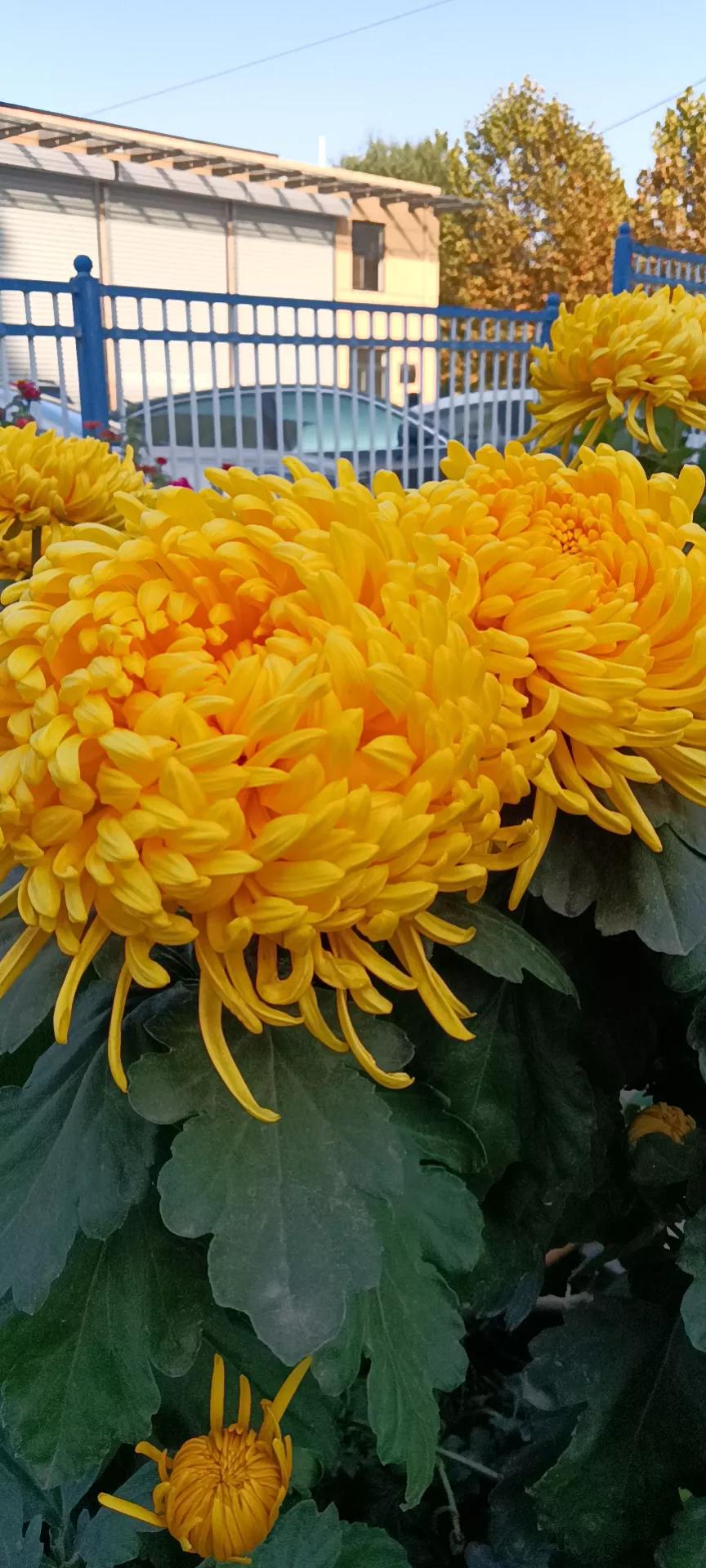 与成语司空见惯意义相同的成语,司空见惯相关的成语