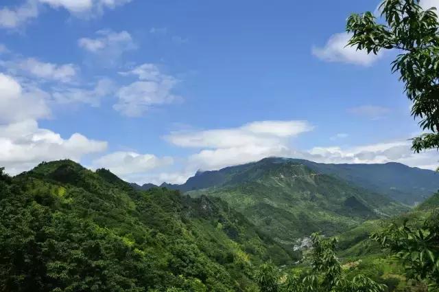 大自然唯美黄山风景摄影,打卡歙县蜈蚣岭高山茶梯田