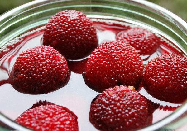 隔夜西瓜吃了娃发烧持续38度,小孩子吃西瓜会引起高烧吗