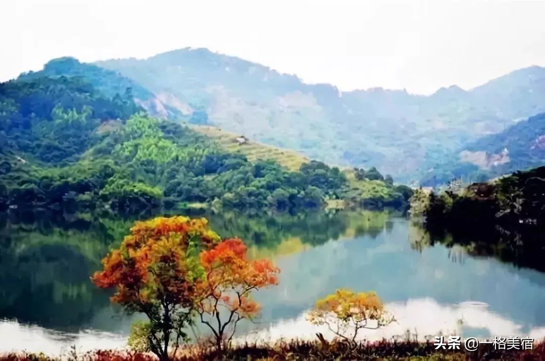 厦门五日游必去十大景点有哪些,厦门一日游必去的五个景点