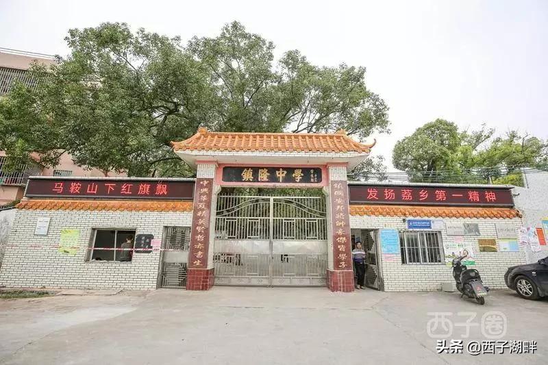 惠州镇隆荔枝什么品种,惠州镇隆自摘荔枝在哪
