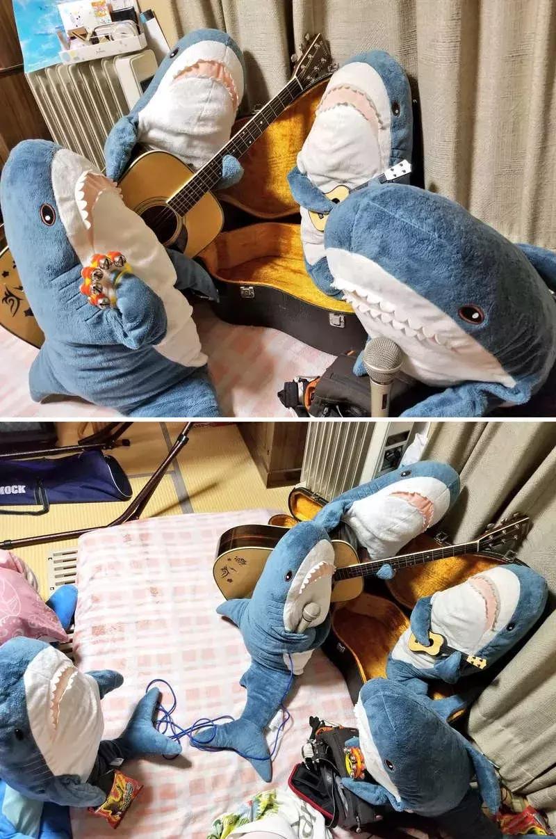 日推网友分享：被幸福饲养的鲨鱼宝宝，每一张都戳中萌点