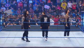 wwesd和raw所有选手,wwesd冠军腰带