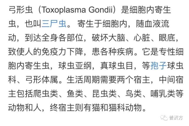 怀孕真的不能养猫养狗吗,怀孕不可以养老鼠吗