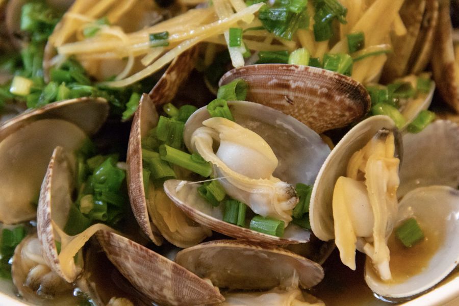 实拍一家更适合北方人的打边炉,各式各样的打边炉