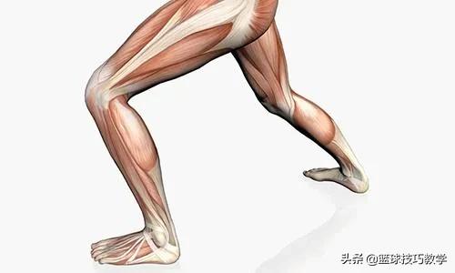 打球崴脚急救措施,打球崴脚了肿了怎么办