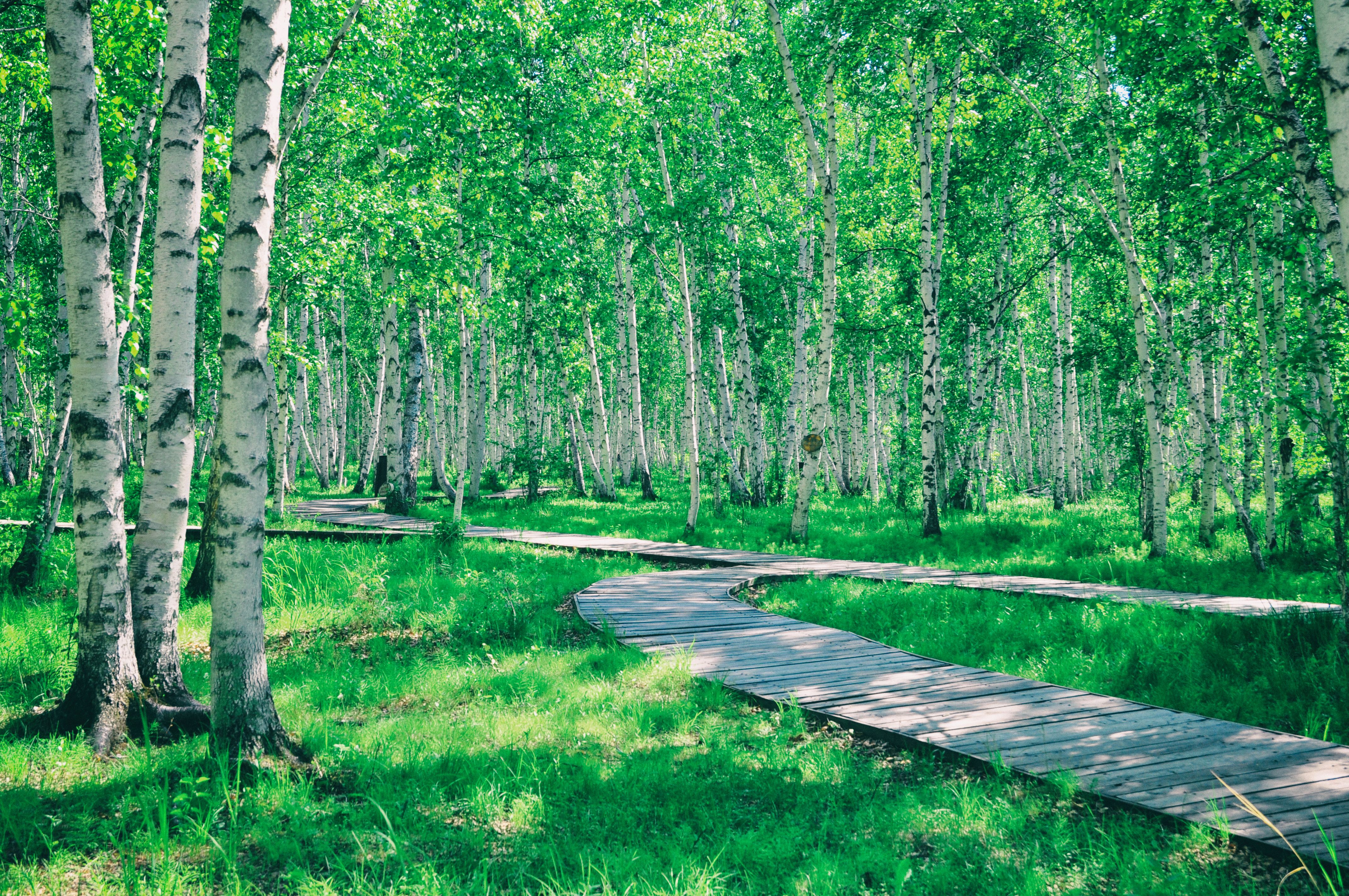 东北游记攻略,东北游记最新视频