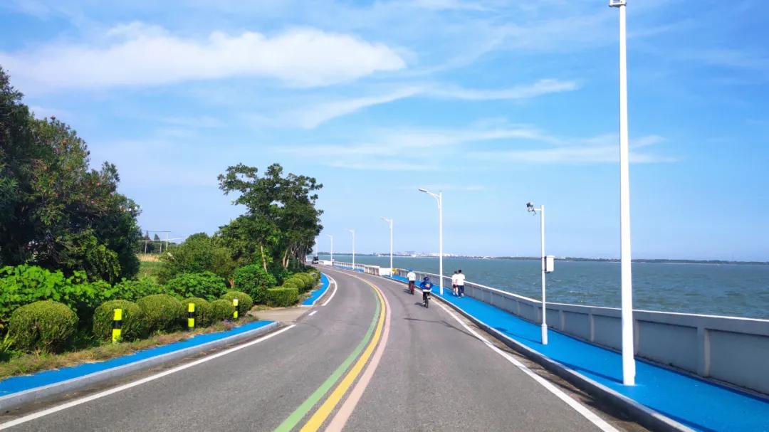 银杏古道自驾游攻略,江浙沪绝美古道苏州