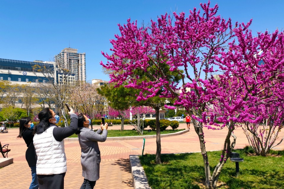 面朝大海春暖花开的背景音乐,面朝大海春暖花开歌曲