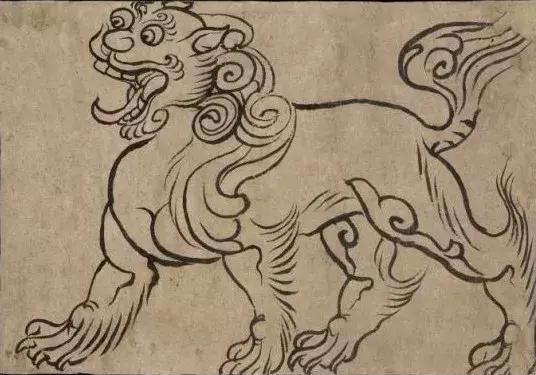 美洲狮在热带雨林,美洲狮在热带雨林会留下什么踪迹