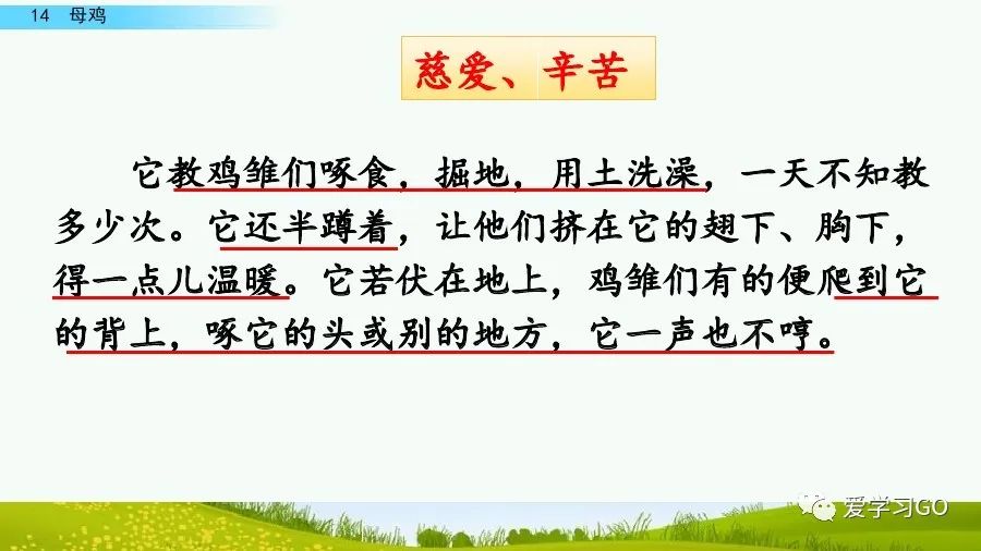 部编版四年级下册15课白鹅解析,部编版四下语文第13课母鸡预习