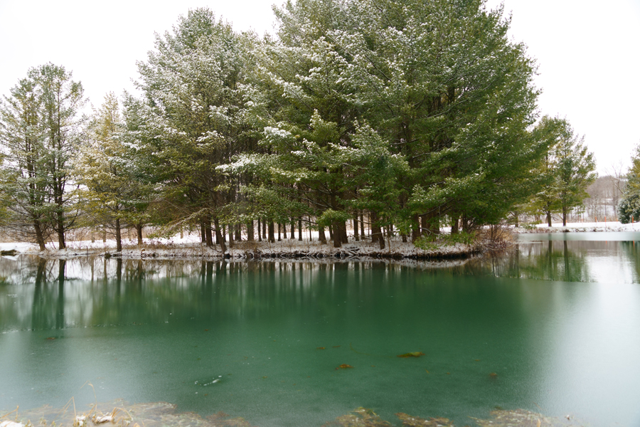 加拿大天气不光冷，也热死人，也四季如春