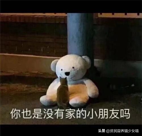 金毛狗狗中暑症状和解救方法,狗狗如何防止猫咪中暑