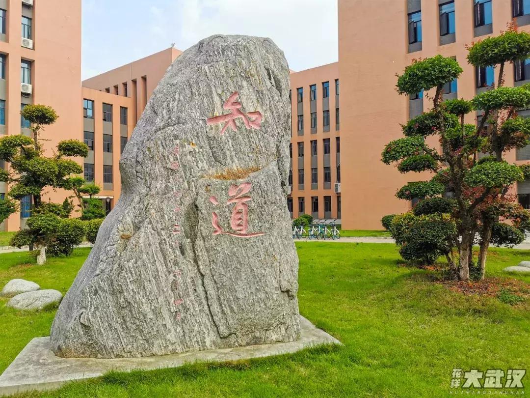 武汉科技大学的机械学院,武汉科技大学医学院和临床学院