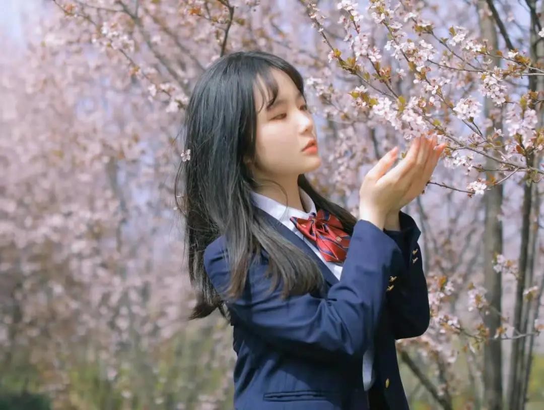 央视多次点赞武汉,央视点赞武汉直播