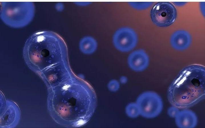 爽肤水推荐油皮痘肌科颜氏,科颜氏保湿爽肤水评测