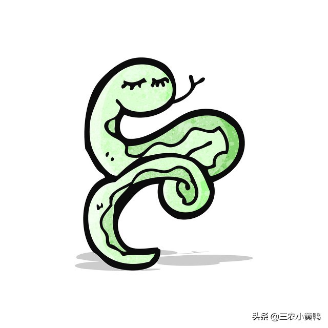 夏季到，蛇出洞，农家院子种上这4种花草，不仅美观，蛇逃之夭夭