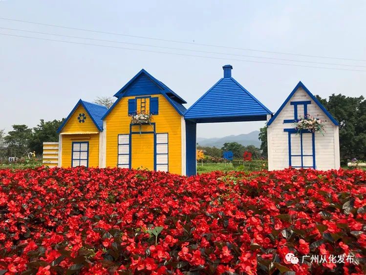 颜值100分以上,颜值100分气质100分