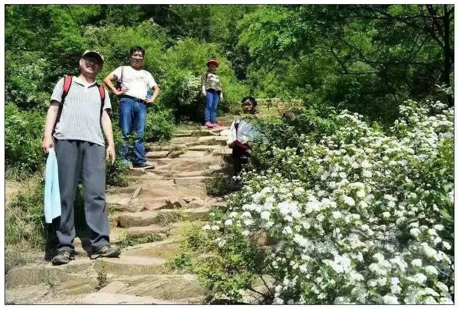 南太行著名天梯盘点,你走过几个