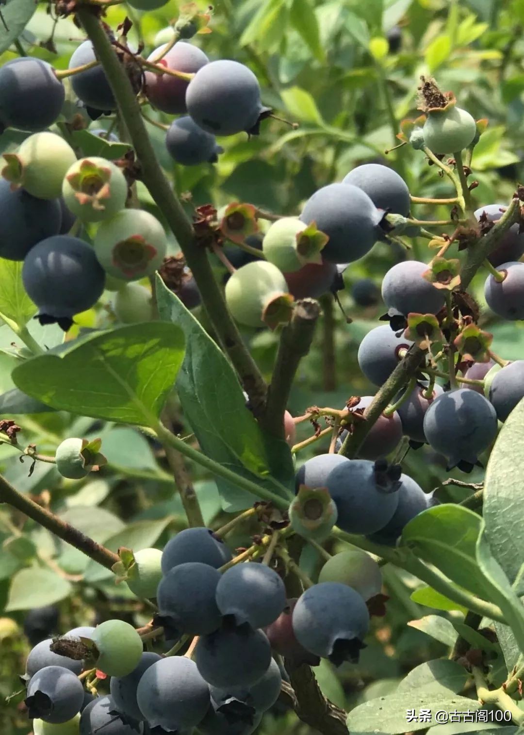 与兰亭对应的书法圣地,兰亭书法纪念馆