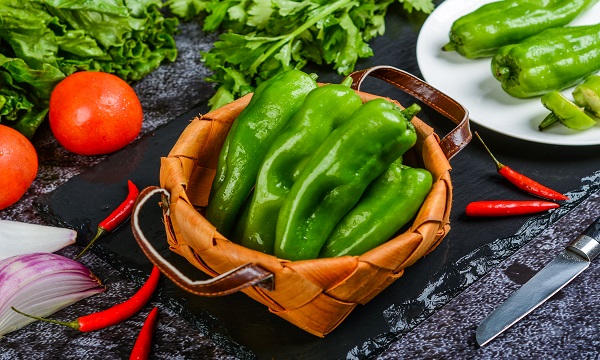 山西朔州名片,朔州标志